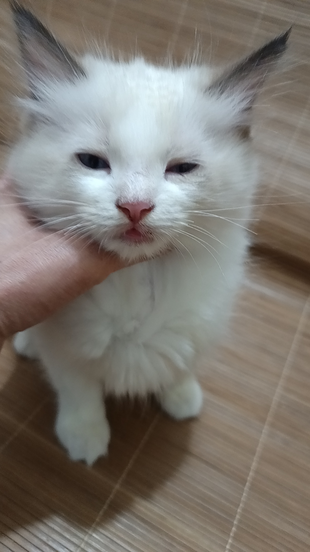 还剩最后一个妹妹